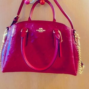 Mini Sage Carryall in Signature Leather (F31485)